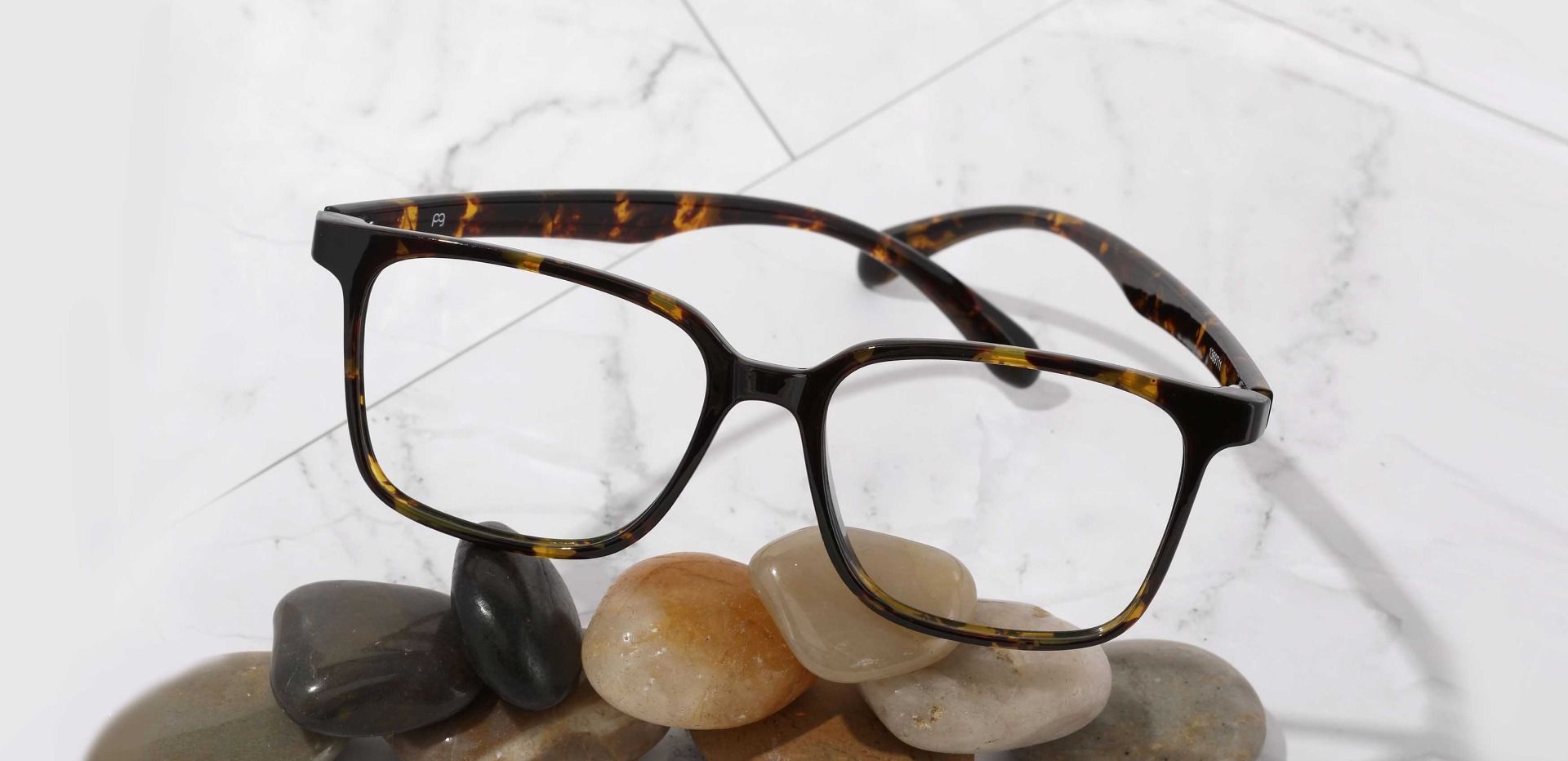 Kennett Square Prescription Glasses - Tortoise