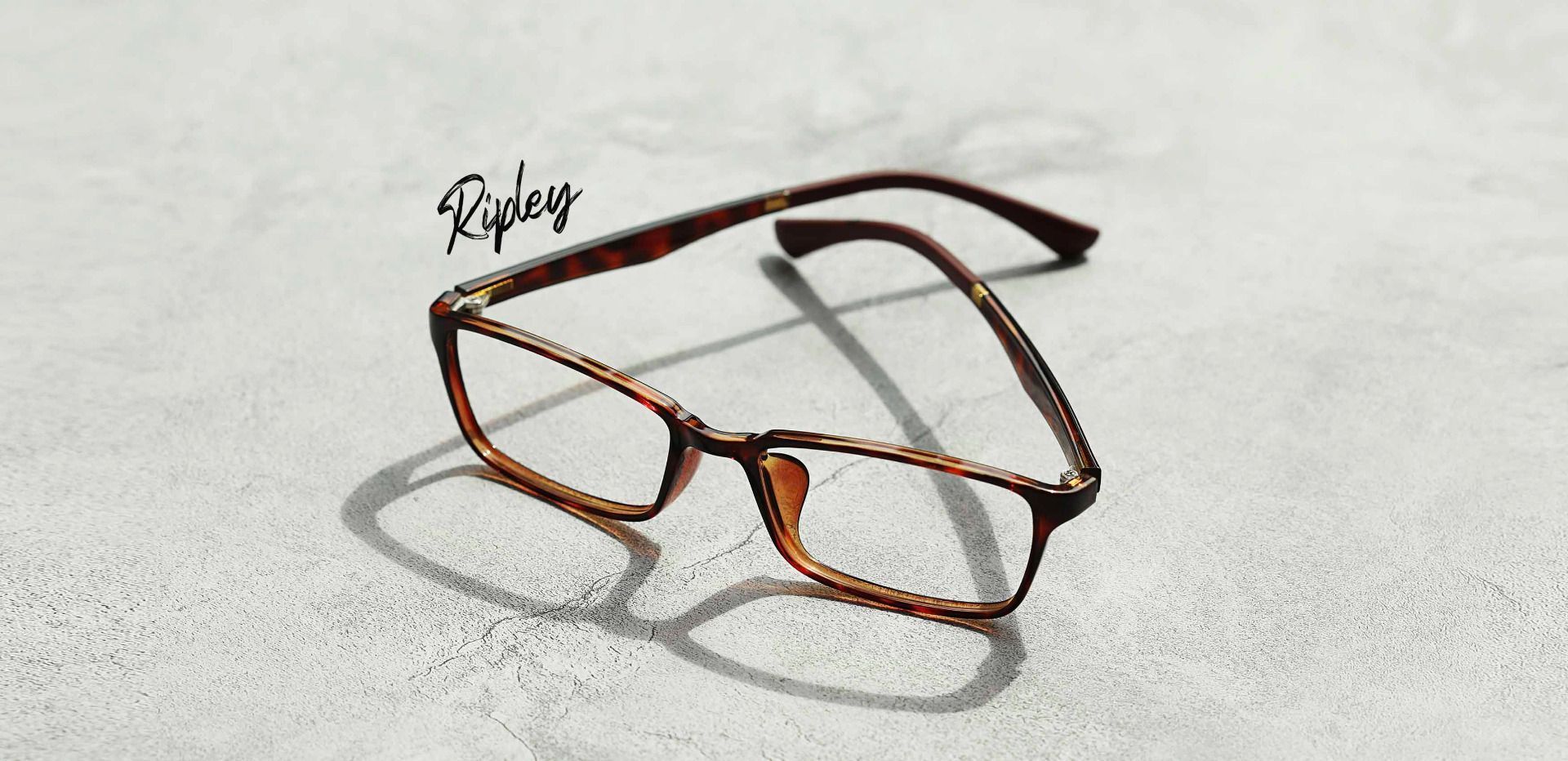 Ripley Rectangle Lined Bifocal Glasses - Tortoise
