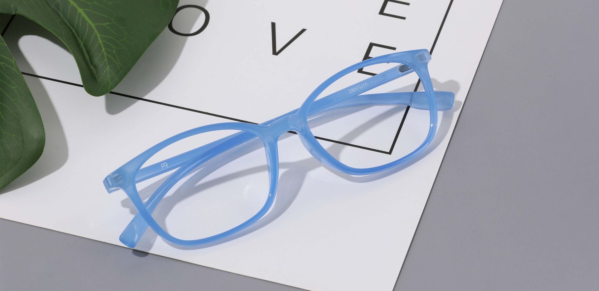 Winchester Rectangle Eyeglasses Frame - Blue