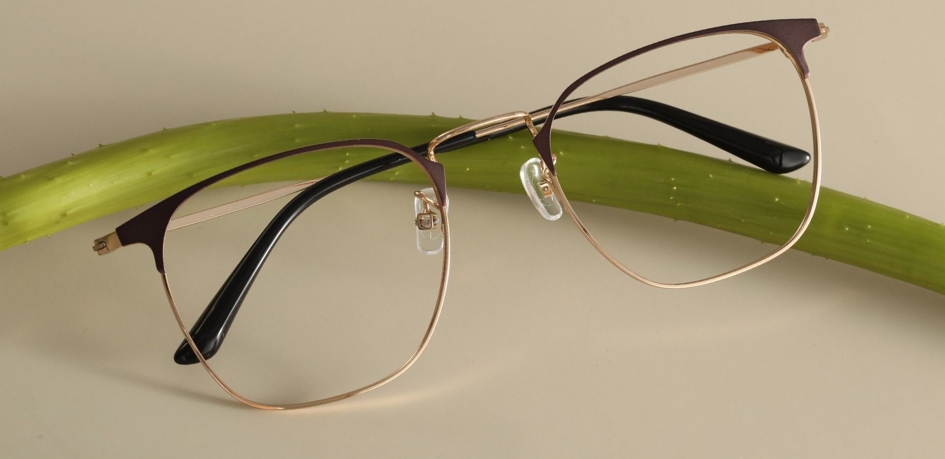Nichols Browline Progressive Glasses - Brown