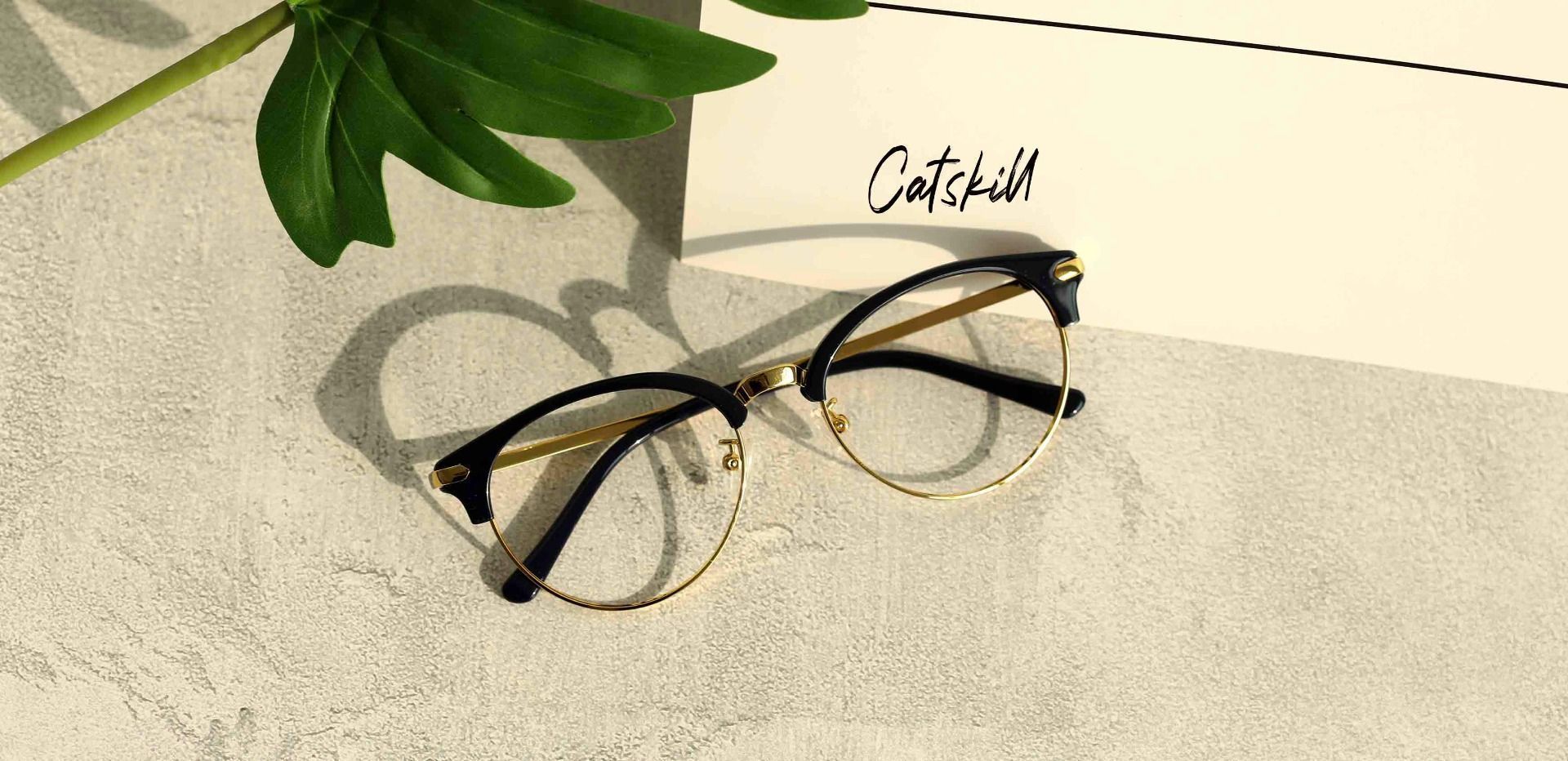 Catskill Browline Lined Bifocal Glasses - Blue