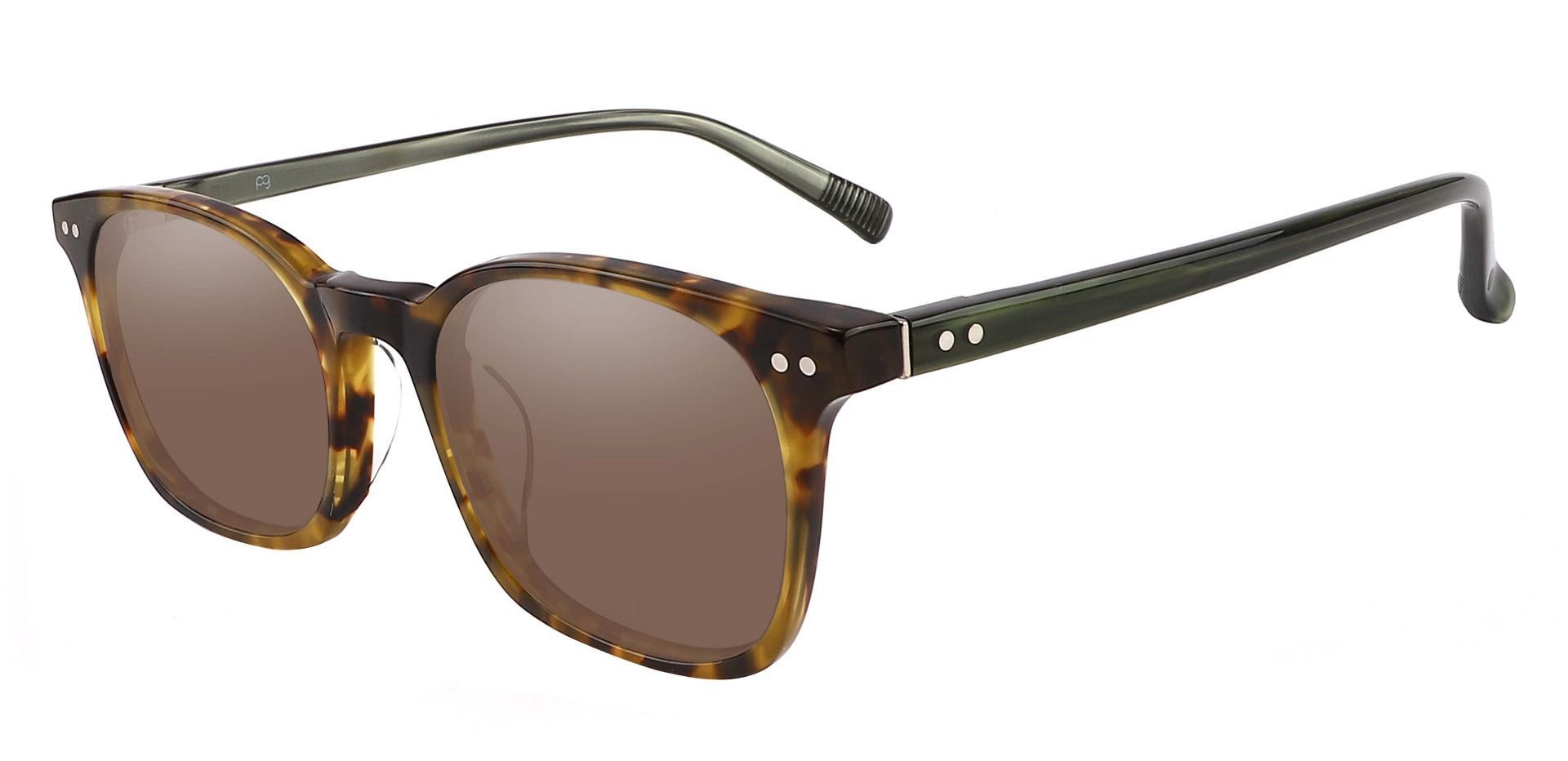 Alonzo Square Lined Bifocal Sunglasses - Tortoise Frame With Brown Lenses