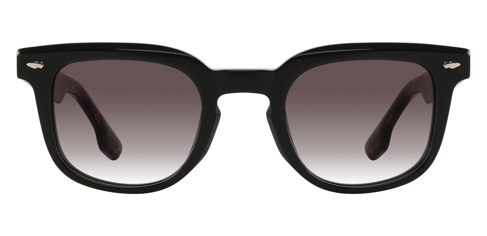 Payne glasses sale sunglasses