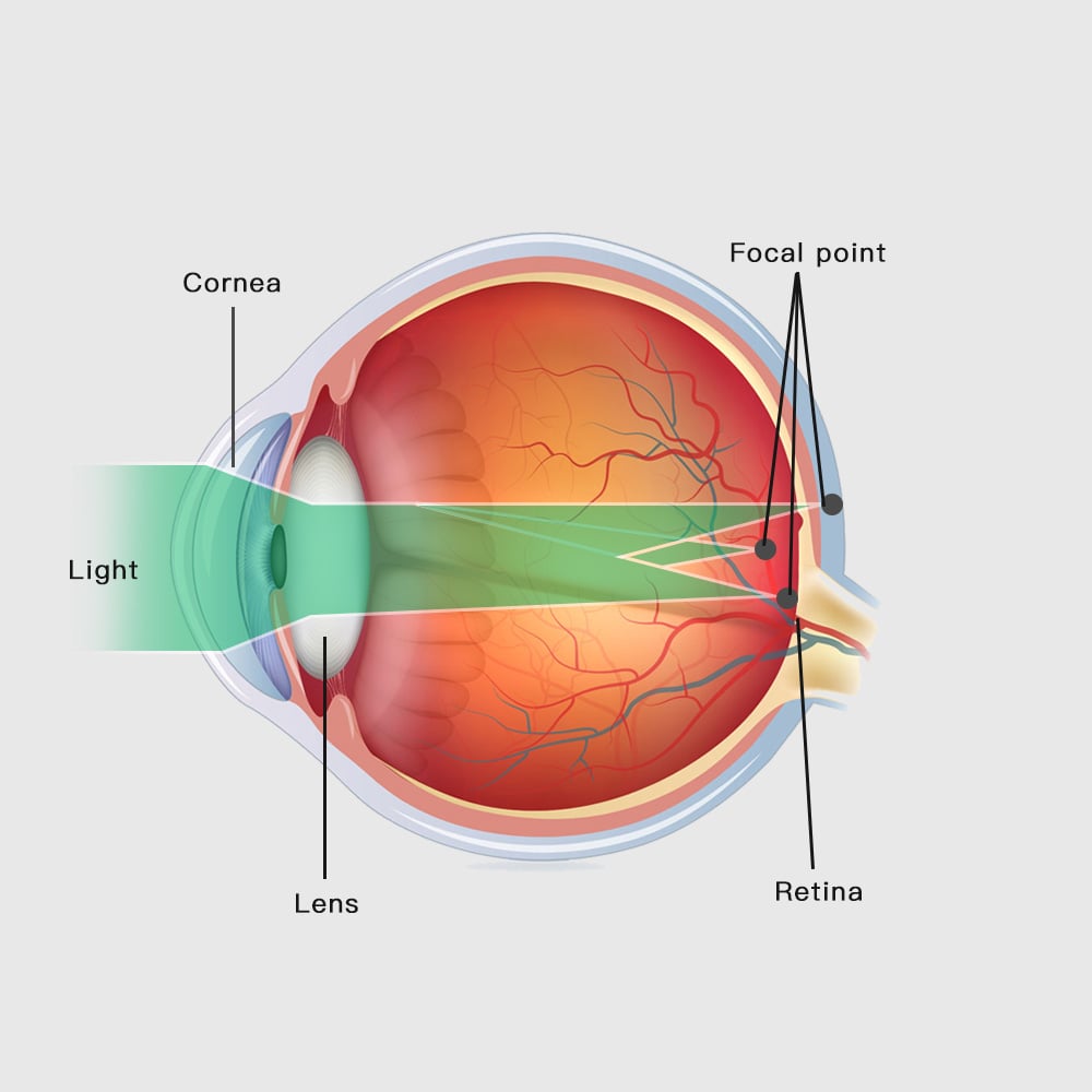 How to read your prescription Knowledge Center Payne Glasses